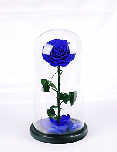 Handmade preserved rose never withered roses flower in …