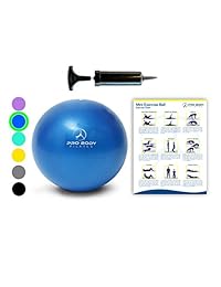 Mini Exercise Ball with Pump - 9 Inch Small Bender Ball for Stability, Barre, Pilates, Yoga, Core Training and Physical Therapy