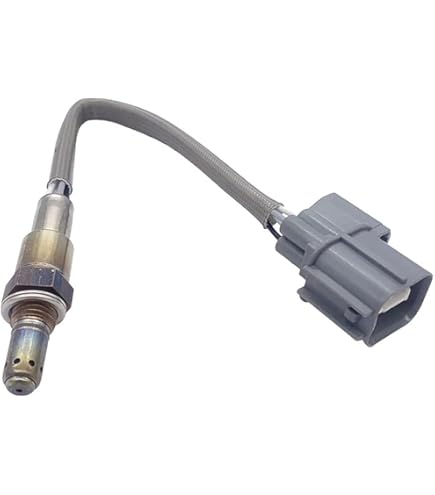 その他 SPITAL JOY-6MGW 41XtqOZYudS._UF1000,1000_QL80_.jpg