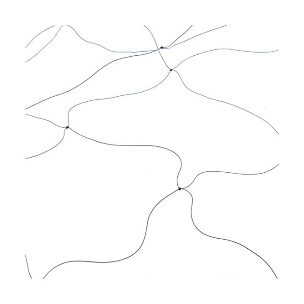 84-x-25-Meter-Agricultural-Anti-Bird-Mesh-Net-2-Pcs