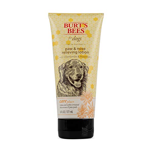Burt's Bees For Dogs Care Plus Natural Relieving Paw and Nose Lotion With Chamomile and Rosemary, 6 Ounces