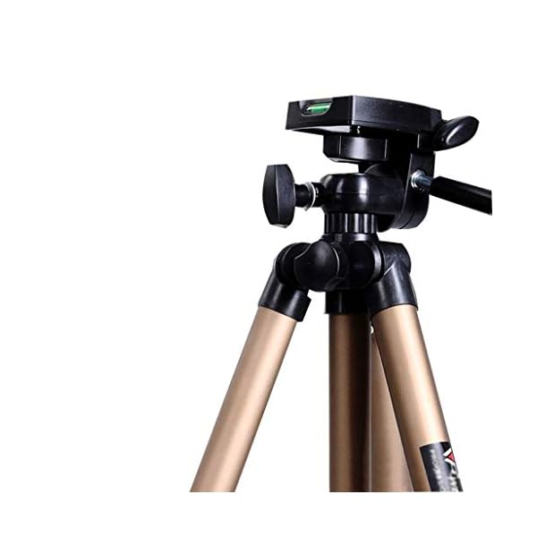 XYSQWZ Tragbares Metallstativ Outdoor-Reise Mobiltelefon Digitalkamera-stabilisator Live-Streaming Bodenstehendes… – Bild 8