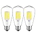 GEZEE LED Edison Bulb, 10W(100 Watt Equivalent) Dimmable Filament Light Bulb, ST64 Daylight Color 6000K, E26 Medium Base (3 Pack), LED Vintage Style Filament Light Bulbs(Indoor or Outdoor)