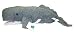 ADORE 16" Ahab the Sperm Whale Plush Stuffed Animal Toy
