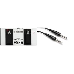 Boss FS-6 Dual Foot Switch & Hosa CSS-105 1/4" TRS