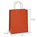BagDream Gift Bags 8x4.25x10.5 Inches 25Pcs Paper Bags, Shopping Bags, Kraft Bags, Retail Bags, Merchandise Bags, Orange Paper Bags with Handles