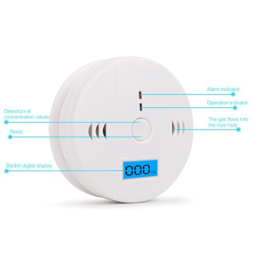 image for instecho Carbon Monoxide Gas Detection,CO Detector Alarm LCD Portable 