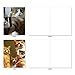 The Best Card Company - 10 Adorable Blank Cat Cards (4 x 5.12 Inch) - Cute Pet Kittens, Assorted Bulk Notecard Set - Cats Selfie M4953OCB-B1x10-NB