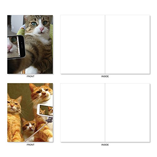 image for The Best Card Company Cats Selfie: 10 Assorted Box of Blank Note Cards