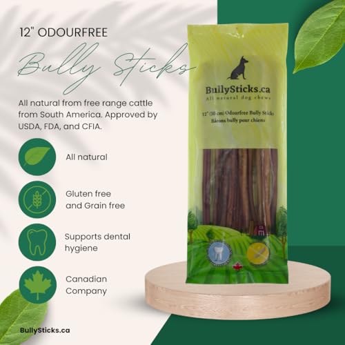 12" Jumbo Odour Free Bully Sticks for Dogs (6 Pack) Large Dog Dental Chew (335 g) - Rawhide Free - Chemical Free - Long Lasting - 100% Beef - No Additives