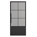 36 in. x 84 in. 6 Lite Frost Glass Black Steel
