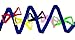 YCT Walking Rope -10 Colorful Handles (B)