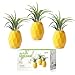 AIEVE Air Plant Holder, 3 Pack Air Plant Hanger Air Plant Stand Pineapple Planter Tillandsia Holder Tabletop Display Geometric Planter with Magnet for Hanging Air Plants Indoor Wall Decor, Large
