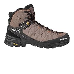 Salewa Alp Trainer 2 Mid GTX Hiking Boot - Men's