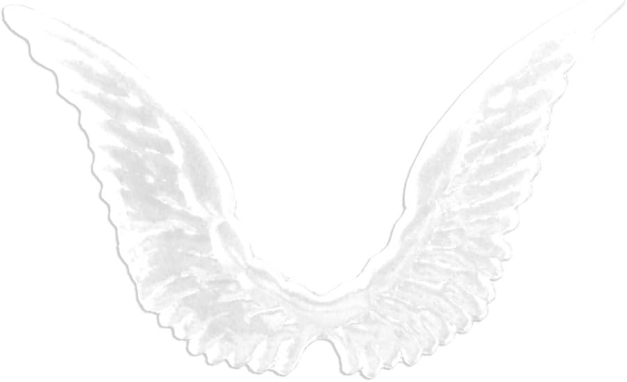 Kunze 10-Piece Celestial Dresden Angel Wings, White