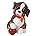 Australian Shepherd