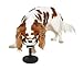 BugSnub Raised Pet Bowl