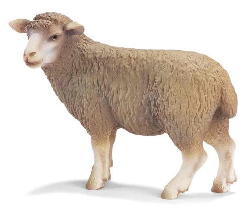 Schleich Sheep, Standing 13283