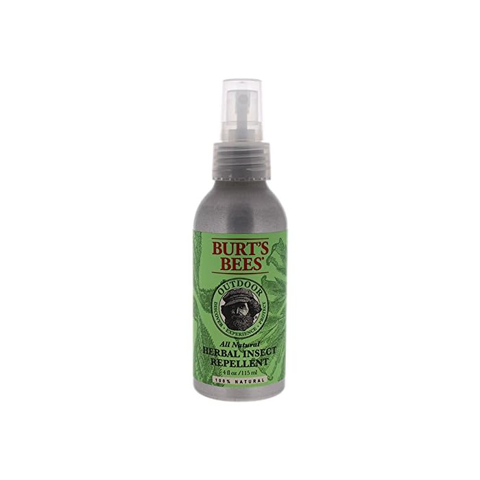Burt's Bees 100% Natural Herbal Insect Repellent, DEET-Free Bug Spray - 4 Ounce Spray Bottle (Pack of 2)