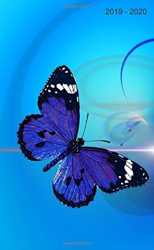 2019 - 2020: Two-Year Monthly Pocket Planner: 24-Month Calendar , Notes and Phone book, U.S. Holidays, Size : 4.0" x 6.5", Hand Lettering book ( Cover: Beautiful Butterfly )