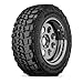 Federal SS-595 All-Season Radial Tire - 255/40R17 94V