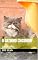 Livro O GATINHO CHOSHOW: o gatinho