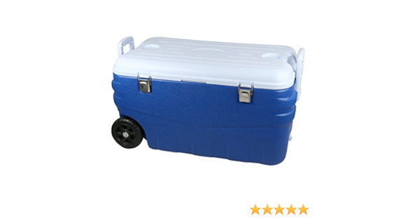 Cao 466 Nevera portátil Unisex, Azul/Blanco : Amazon.es ...