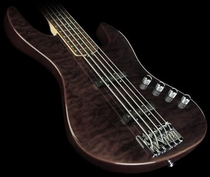 Amazon Com Esp Ltd Elite J 5 5 String Electric Bass Guitar Amber Musical Instruments
