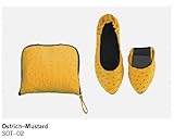 Sidekicks Women's Foldable Portable Travel Ballet Flat Shoes w/ Matching Carrying Case 