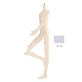 Prettyia 1/3 BJD Boy 16 Jointed Nude Body Male