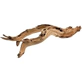 Koyal Wholesale 18&rdquo; Driftwood Terrarium Decor, Clean California Manzanita Drift Wood Reptile Decor, Driftwood Decor for Home, Desert Reptile Supplies, Small or Large Driftwood Branches for Reptiles