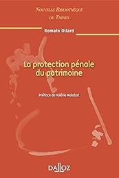 La  protection pénale du patrimoine