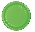 Creative Converting 96 Count Celebrations Paper Dinner Plates