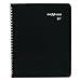 DayMinder Monthly Planner / Appointment Book 2017, Wirebound, 6-7/8 x 8-3/4