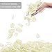 Jasmine 1000 PCS Seperated Non-Woven Wedding Petals Rose Petals for Flower Girl Bridal Shower Hotel Home Flower Decoration,Ivory