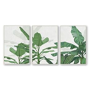 Framed Canvas Wall Art for Living Room, Bedroom Beautiful Plants Cactus Canvas Prints for Home Decoration Ready to Hanging - 16"x24"x3 Panels
