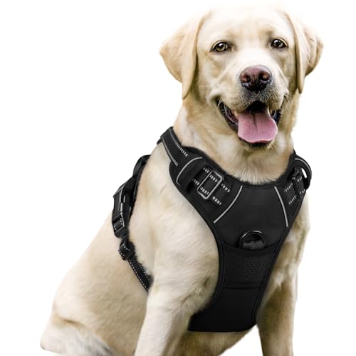 rabbitgoo Dog Harness
