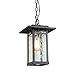 LOG BARN 1 Light Hanging Lantern Lamp Pendant Light in Painted Black Metal with Obscured Glass Shade, 13