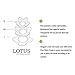 MelonBoat Lotus Cotton Swab Holder, Cotton Swab Dispenser, Qtip Holder, Q tip Holder, Q-tip Holder, Small Q-tips Toothpicks Storage Organizer, Red