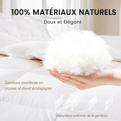 Yalamila Couette 200x200 4 Saisons | pour lit 2 Personnes | Couette Plumes & Duvet d'oie |100% Coton | Édredon Ultra Douce et Gonflant | Certifiée Oeko-Tex | Lavable en Machine，Blanc