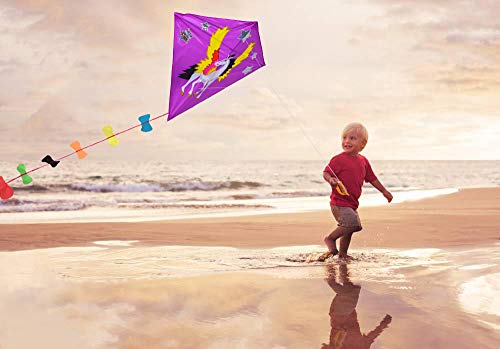 Zhuoyue Diamond Kite for Kids and Adults, Single Line Easy to Fly Beginner Kite with Long Tail,Funny and Ripstop Fabric Outdoor Toys
