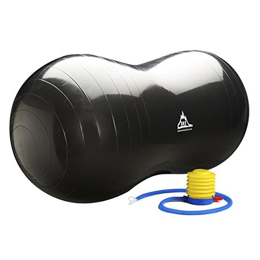 Black Mountain Products Peanut Stability Ball with 1000 lb Static Weight Capacity Pump - Image 3