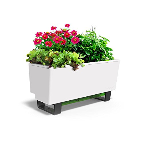 Glowpear Urban Garden Self-Watering Mini Bench Planter