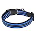 Mile High Life Night Reflective Double Bands Nylon Dog Collar