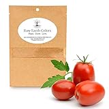Roma Tomato Seeds for Planting Home Vegetable