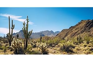 DTEKOJ Reptile Habitat Background, Retro Desert Oasis Cactus Terrarium Background 48X24 in Background with 8 EVA Double-Sided Tape