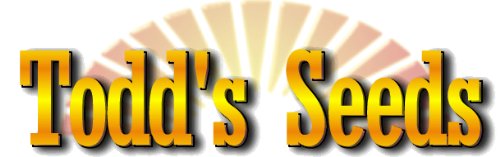 Sprouting Seeds Mung Bean 1 Pound - Todd's Seeds