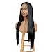 ALICE Lace Front Black Wig for Women, 22