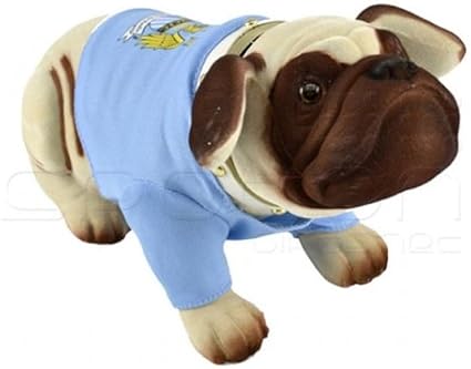 man city dog jersey