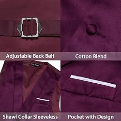 Barry.Wang Mens Dark Purple Vest Formal/Leisure